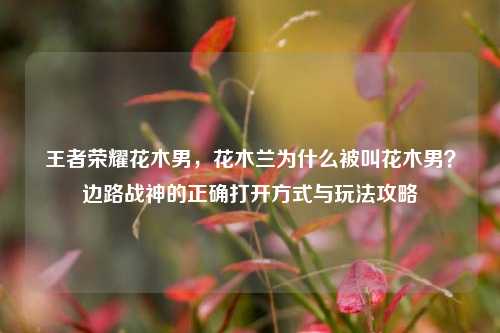 王者荣耀花木男，花木兰为什么被叫花木男？边路战神的正确打开方式与玩法攻略