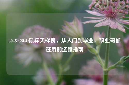 2025 CSGO鼠标天梯榜,从入门到毕业,职业哥都在用的选鼠指南