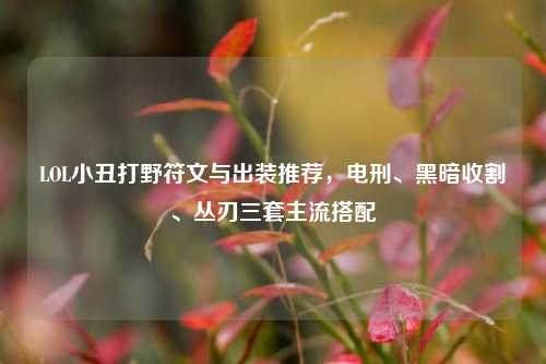 LOL小丑打野符文与出装推荐,电刑、黑暗收割、丛刃三套主流搭配
