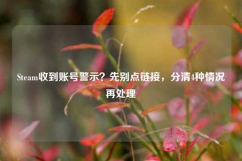 Steam收到账号警示？先别点链接，分清4种情况再处理