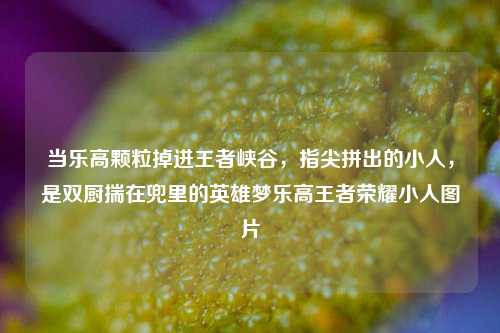 当乐高颗粒掉进王者峡谷，指尖拼出的小人，是双厨揣在兜里的英雄梦乐高王者荣耀小人图片