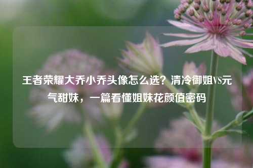 王者荣耀大乔小乔头像怎么选？清冷御姐VS元气甜妹，一篇看懂姐妹花颜值密码