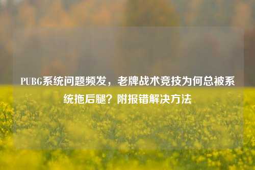 PUBG系统问题频发,老牌战术竞技为何总被系统拖后腿?附报错解决方法