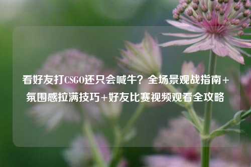 看好友打CSGO还只会喊牛？全场景观战指南+氛围感拉满技巧+好友比赛视频观看全攻略