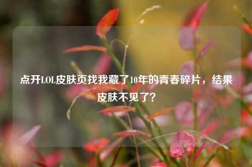 点开LOL皮肤页找我藏了10年的青春碎片，结果皮肤不见了？
