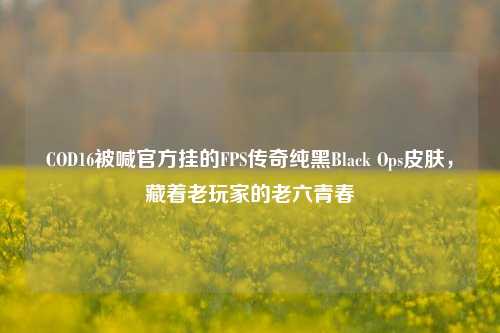 COD16被喊官方挂的FPS传奇纯黑Black Ops皮肤,藏着老玩家的老六青春