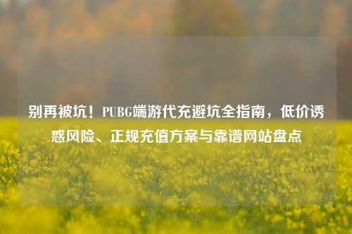 别再被坑！PUBG端游代充避坑全指南，低价诱惑风险、正规充值方案与靠谱网站盘点