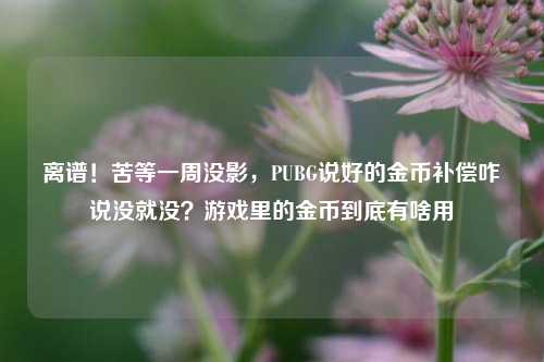 离谱!苦等一周没影,PUBG说好的金币补偿咋说没就没?游戏里的金币到底有啥用