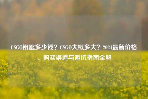 CSGO钥匙多少钱？CSGO大概多大？2024最新价格、购买渠道与避坑指南全解