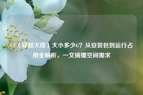 CF（穿越火线）大小多少G？从安装包到运行占用全解析，一文搞懂空间需求