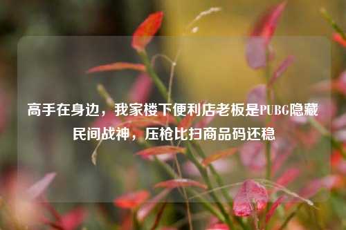 高手在身边,我家楼下便利店老板是PUBG隐藏民间战神,压枪比扫商品码还稳