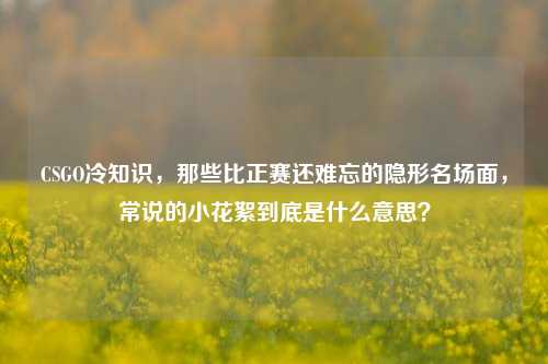 CSGO冷知识，那些比正赛还难忘的隐形名场面，常说的小花絮到底是什么意思？