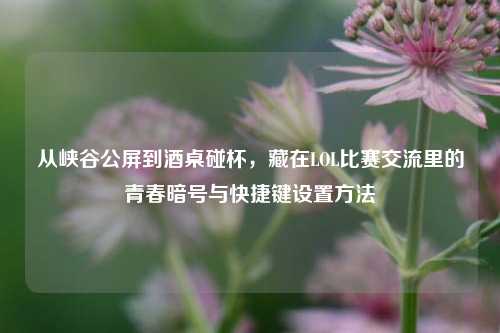 从峡谷公屏到酒桌碰杯，藏在LOL比赛交流里的青春暗号与快捷键设置方法