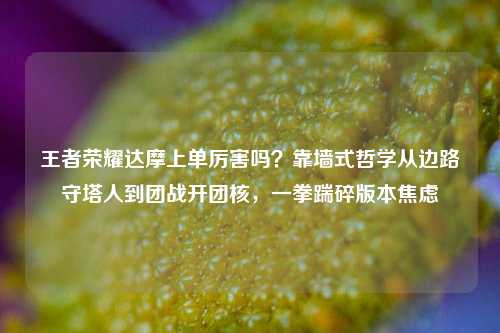 王者荣耀达摩上单厉害吗？靠墙式哲学从边路守塔人到团战开团核，一拳踹碎版本焦虑