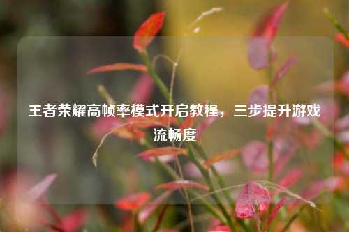王者荣耀高帧率模式开启教程，三步提升游戏流畅度
