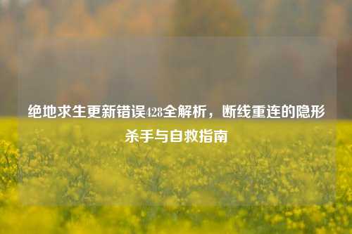绝地求生更新错误428全解析，断线重连的隐形杀手与自救指南