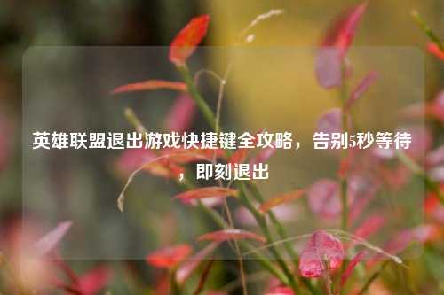 英雄联盟退出游戏快捷键全攻略，告别5秒等待，即刻退出