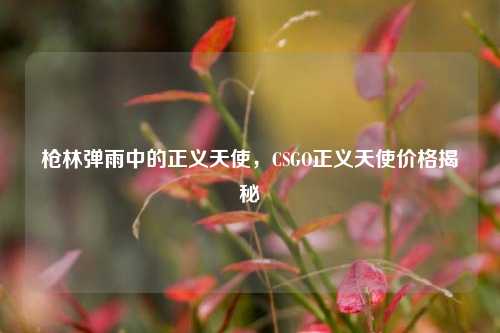 枪林弹雨中的正义天使，CSGO正义天使价格揭秘