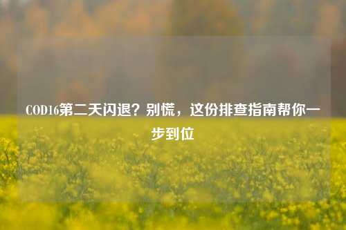 COD16第二天闪退？别慌，这份排查指南帮你一步到位