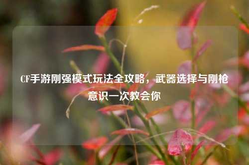 CF手游刚强模式玩法全攻略,武器选择与刚枪意识一次教会你