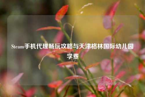 Steam手机代理畅玩攻略与天津格林国际幼儿园学费