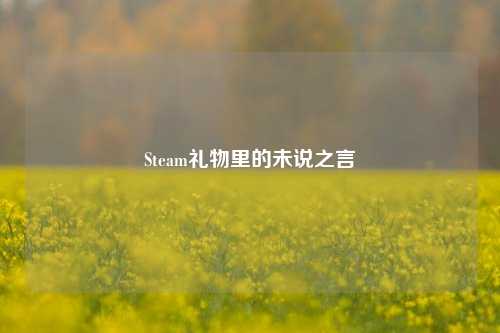 Steam礼物里的未说之言