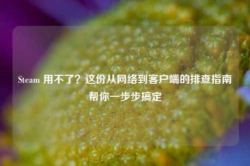 Steam 用不了？这份从网络到客户端的排查指南帮你一步步搞定