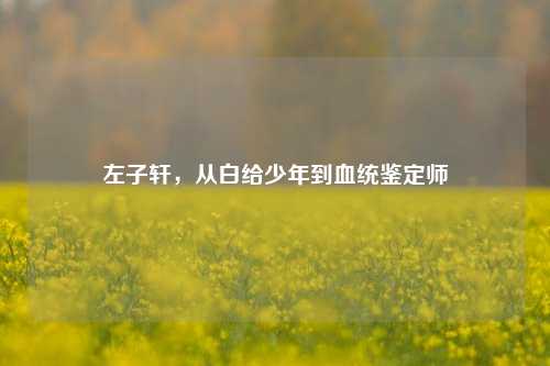 左子轩，从白给少年到血统鉴定师