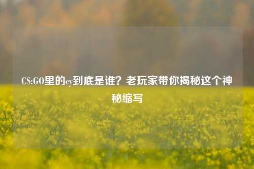 CS:GO里的cy到底是谁？老玩家带你揭秘这个神秘缩写