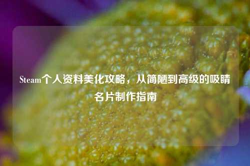 Steam个人资料美化攻略，从简陋到高级的吸睛名片制作指南