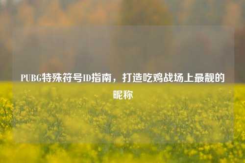 PUBG特殊符号ID指南，打造吃鸡战场上最靓的昵称