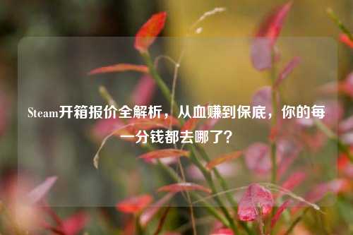 Steam开箱报价全解析，从血赚到保底，你的每一分钱都去哪了？