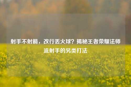 射手不射箭，改行丢火球？揭秘王者荣耀法师流射手的另类打法