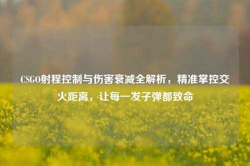 CSGO射程控制与伤害衰减全解析,精准掌控交火距离,让每一发子弹都致命