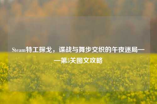 Steam特工探戈，谍战与舞步交织的午夜迷局——第5关图文攻略