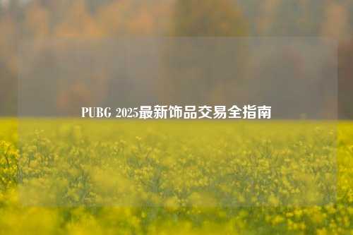 PUBG 2025最新饰品交易全指南