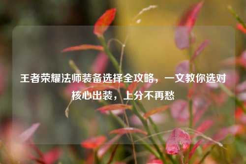 王者荣耀法师装备选择全攻略,一文教你选对核心出装,上分不再愁