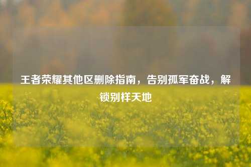 王者荣耀其他区删除指南,告别孤军奋战,解锁别样天地
