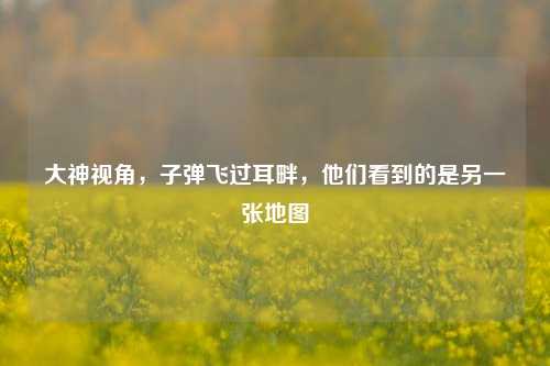 大神视角,子弹飞过耳畔,他们看到的是另一张地图