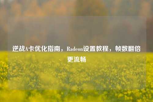 逆战A卡优化指南,Radeon设置教程,帧数翻倍更流畅