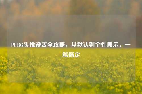 PUBG头像设置全攻略,从默认到个性展示,一篇搞定