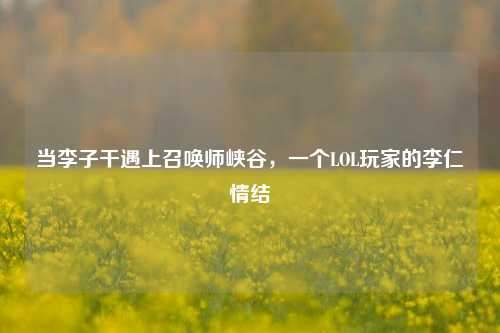 当李子干遇上召唤师峡谷,一个LOL玩家的李仁情结