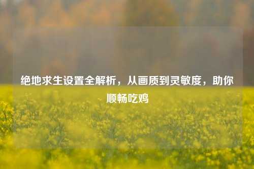 绝地求生设置全解析,从画质到灵敏度,助你顺畅吃鸡