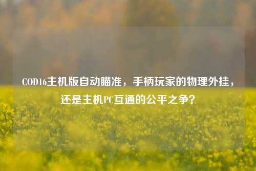 COD16主机版自动瞄准,手柄玩家的物理外挂,还是主机PC互通的公平之争?