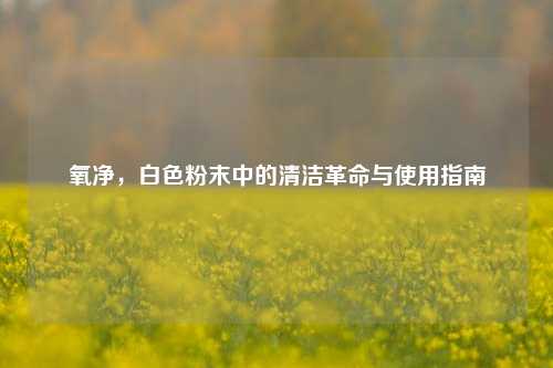 氧净,白色粉末中的清洁革命与使用指南
