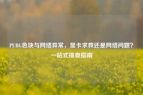 PUBG色块与网络异常，显卡求救还是网络问题？一站式排查指南