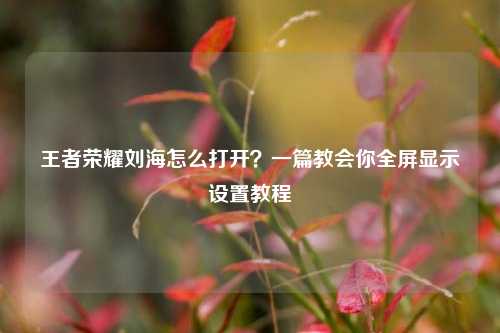 王者荣耀刘海怎么打开?一篇教会你全屏显示设置教程