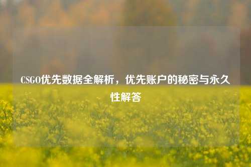 CSGO优先数据全解析，优先账户的秘密与永久性解答