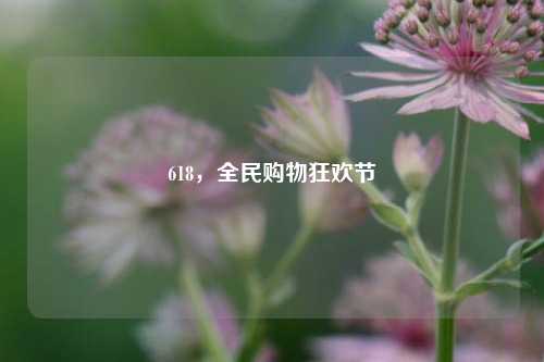 618，全民购物狂欢节