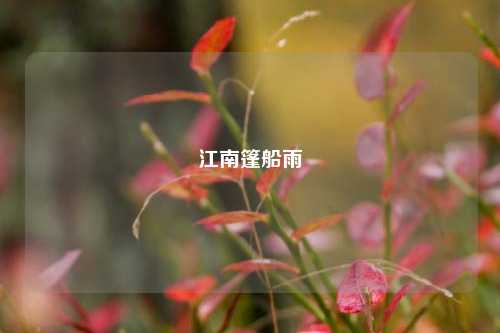 江南篷船雨